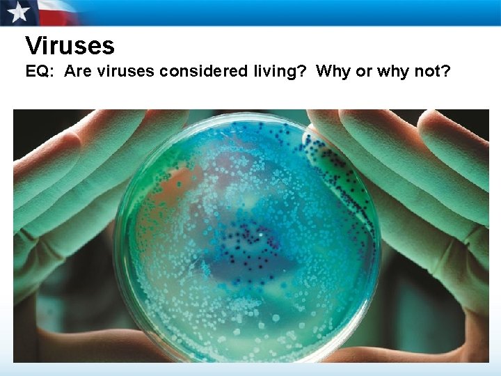 Viruses EQ: Are viruses considered living? Why or why not? 