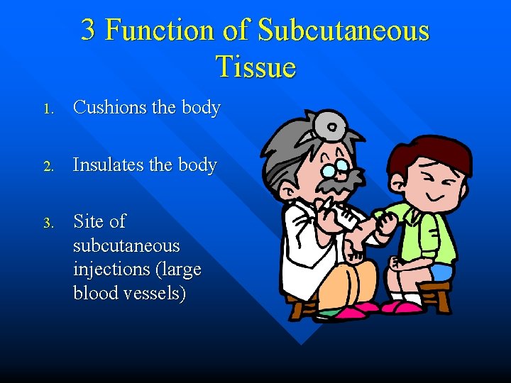 3 Function of Subcutaneous Tissue 1. Cushions the body 2. Insulates the body 3. 3 Function of Subcutaneous Tissue 1. Cushions the body 2. Insulates the body 3.
