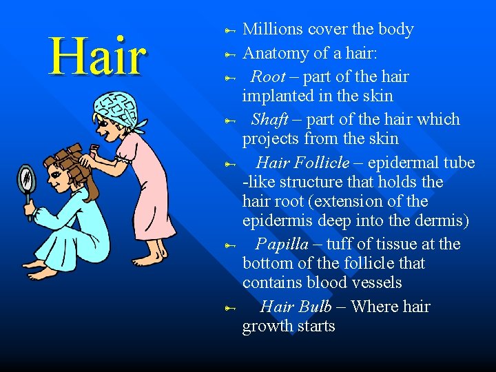 Hair Millions cover the body Anatomy of a hair: Root – part of the Hair Millions cover the body Anatomy of a hair: Root – part of the