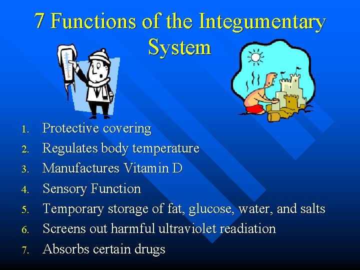 7 Functions of the Integumentary System 1. 2. 3. 4. 5. 6. 7. Protective 7 Functions of the Integumentary System 1. 2. 3. 4. 5. 6. 7. Protective