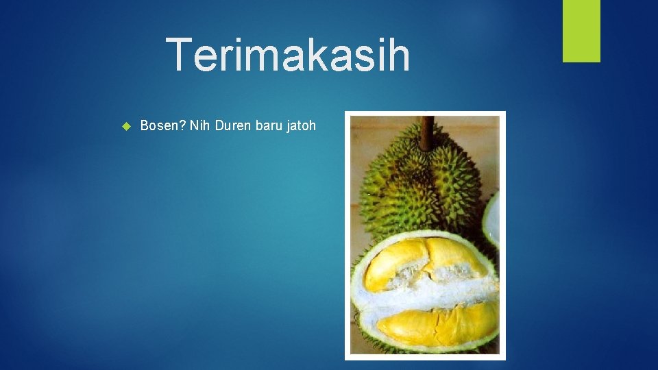 Terimakasih Bosen? Nih Duren baru jatoh 