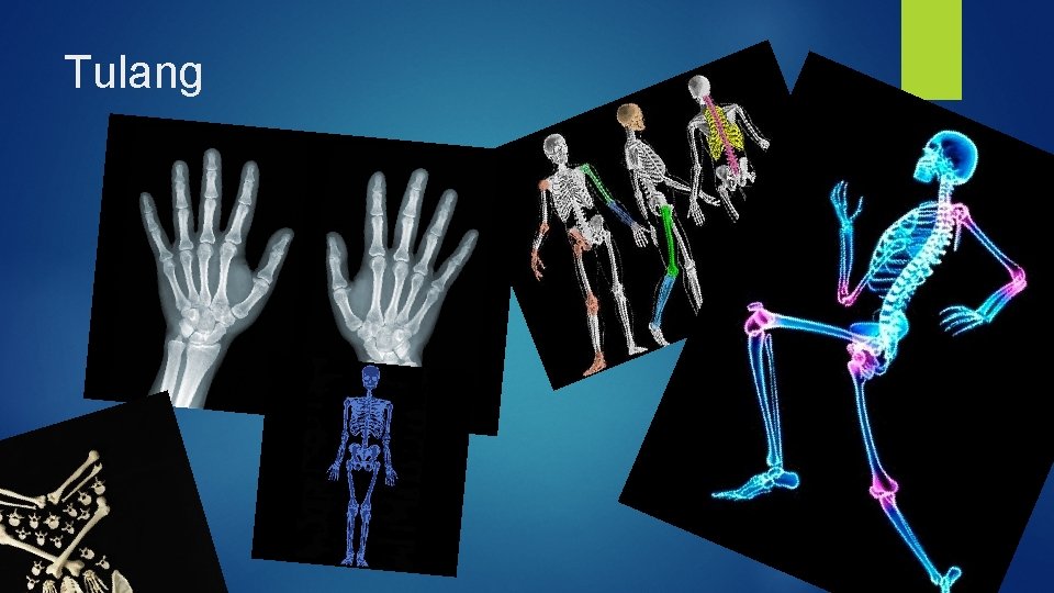Tulang 
