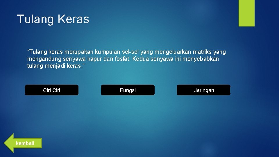 Tulang Keras “Tulang keras merupakan kumpulan sel-sel yang mengeluarkan matriks yang mengandung senyawa kapur