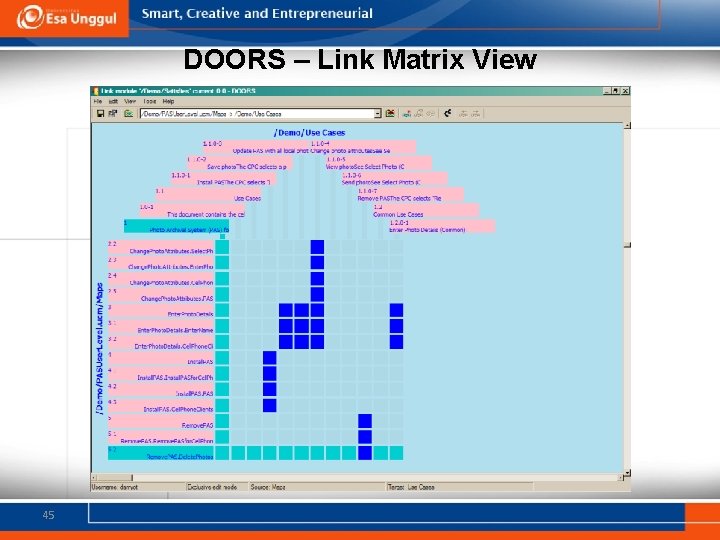 DOORS – Link Matrix View 45 