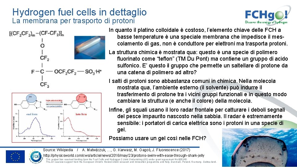 Hydrogen fuel cells in dettaglio La membrana per trasporto di protoni In quanto il
