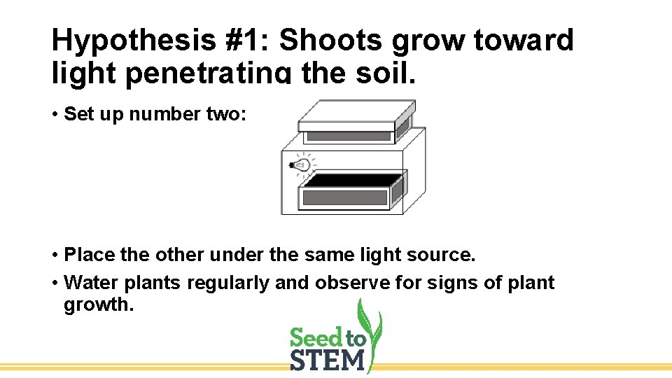 Hypothesis #1: Shoots grow toward light penetrating the soil. • Set up number two: