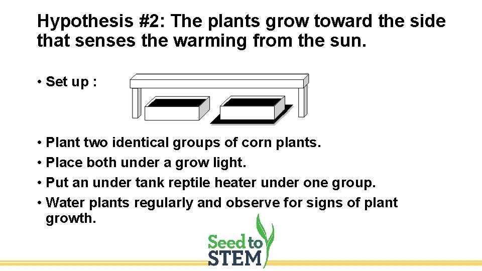 Hypothesis #2: The plants grow toward the side that senses the warming from the