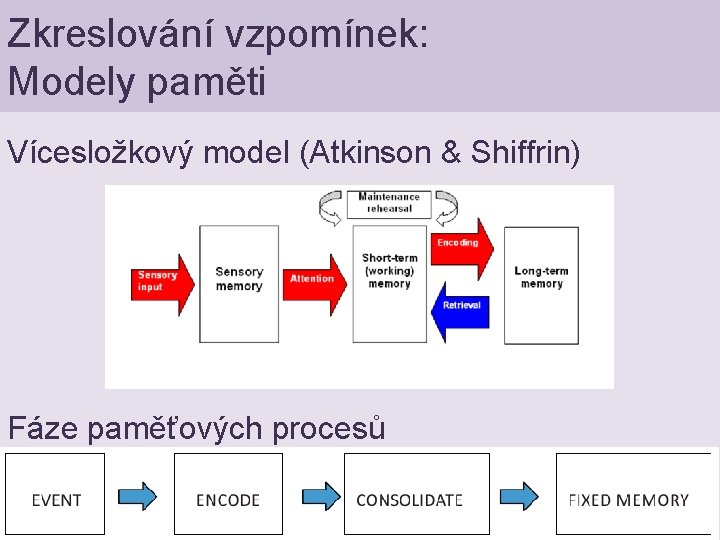 Zkreslování vzpomínek: Modely paměti Vícesložkový model (Atkinson & Shiffrin) Fáze paměťových procesů 