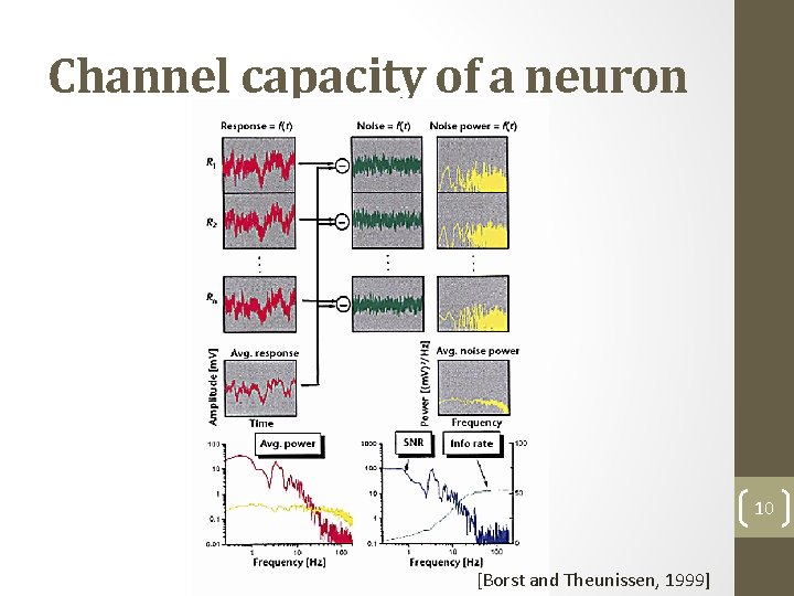 Channel capacity of a neuron 10 [Borst and Theunissen, 1999] 