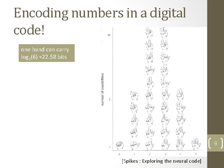 Encoding numbers in a digital code! one hand can carry log 2(6) ≈22. 58