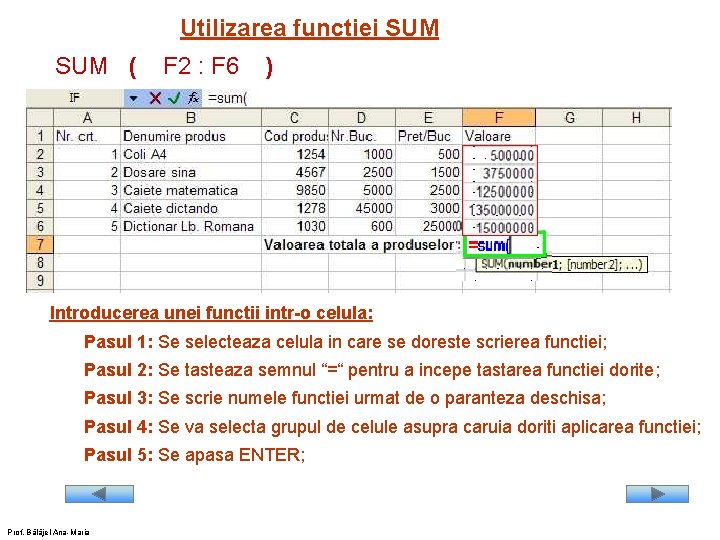 Utilizarea functiei SUM ( F 2 : F 6 ) Introducerea unei functii intr-o