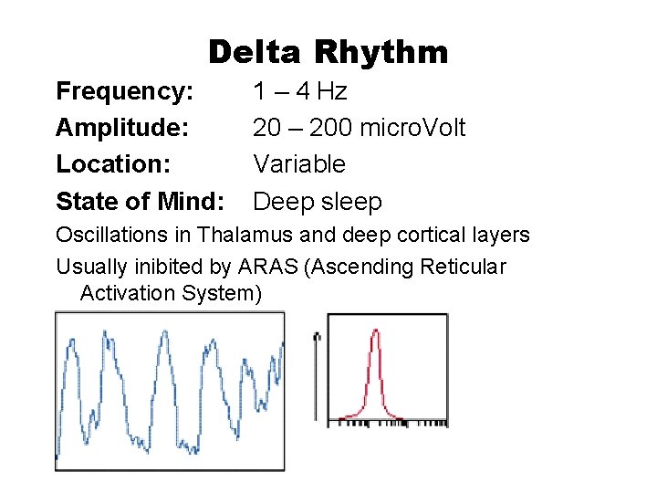 Delta Rhythm Frequency: Amplitude: Location: State of Mind: 1 – 4 Hz 20 –