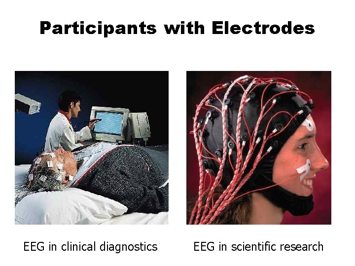 Participants with Electrodes EEG in clinical diagnostics EEG in scientific research 