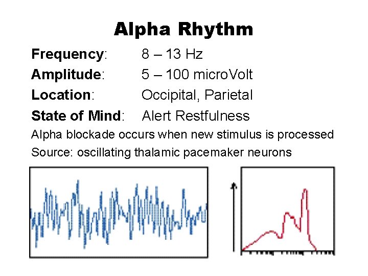 Alpha Rhythm Frequency: Amplitude: Location: State of Mind: 8 – 13 Hz 5 –