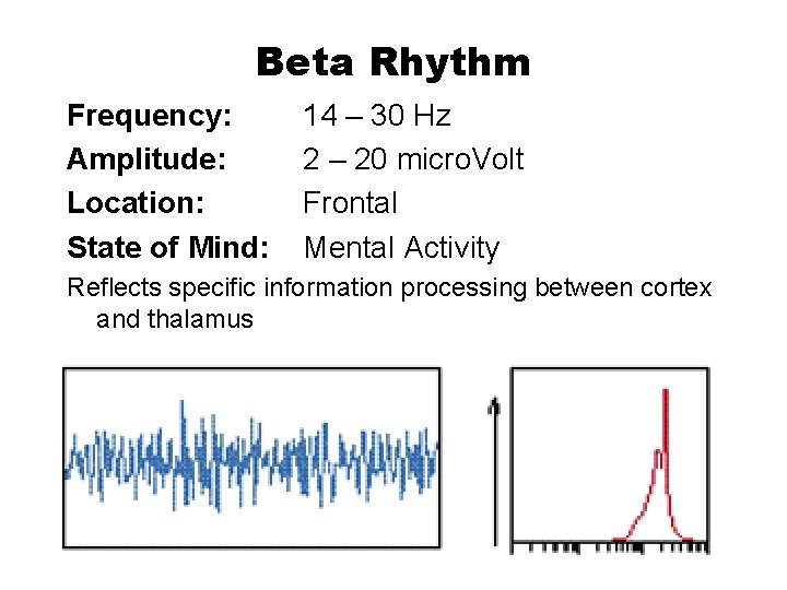 Beta Rhythm Frequency: Amplitude: Location: State of Mind: 14 – 30 Hz 2 –