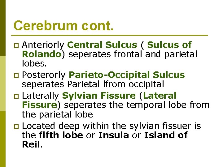 Cerebrum cont. Anteriorly Central Sulcus ( Sulcus of Rolando) seperates frontal and parietal lobes. Cerebrum cont. Anteriorly Central Sulcus ( Sulcus of Rolando) seperates frontal and parietal lobes.
