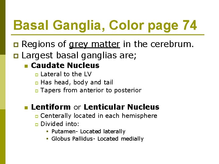 Basal Ganglia, Color page 74 Regions of grey matter in the cerebrum. p Largest