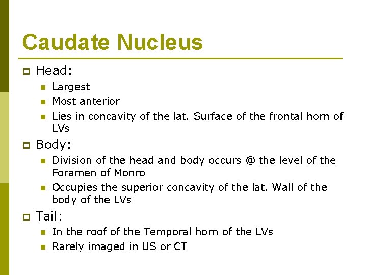 Caudate Nucleus p Head: n n n p Body: n n p Largest Most