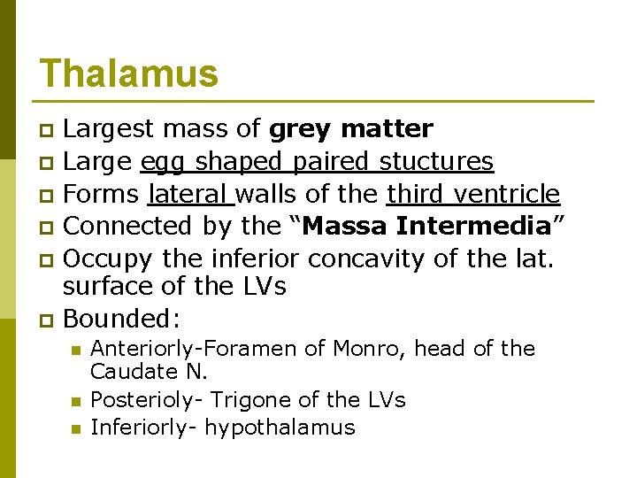 Thalamus Largest mass of grey matter p Large egg shaped paired stuctures p Forms