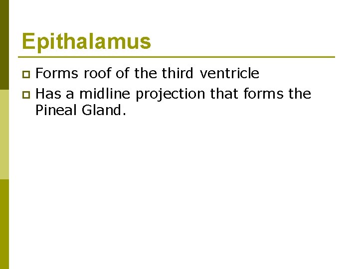 Epithalamus Forms roof of the third ventricle p Has a midline projection that forms