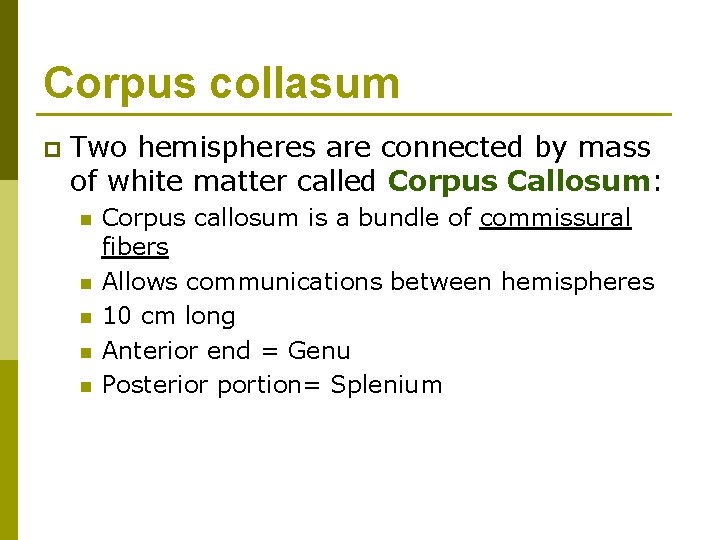 Corpus collasum p Two hemispheres are connected by mass of white matter called Corpus