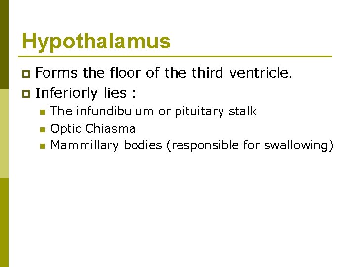 Hypothalamus Forms the floor of the third ventricle. p Inferiorly lies : p n