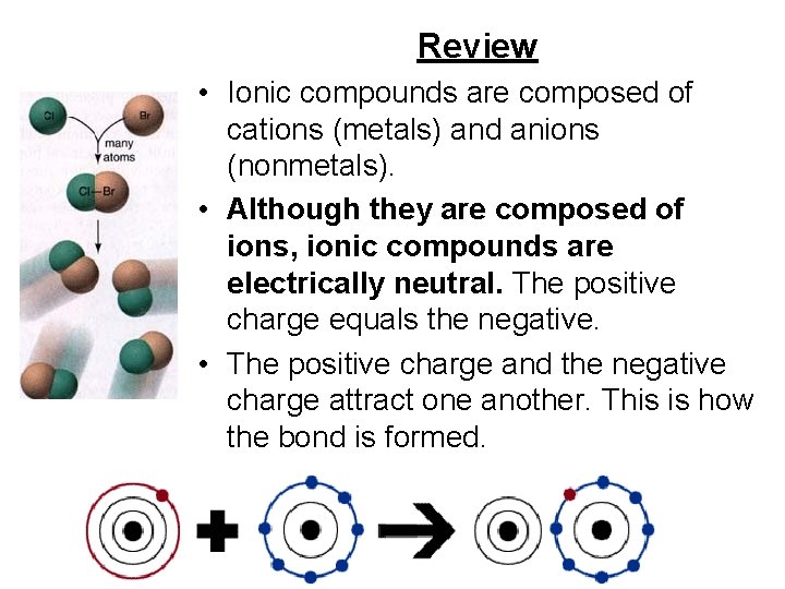 Review • Ionic compounds are composed of cations (metals) and anions (nonmetals). • Although