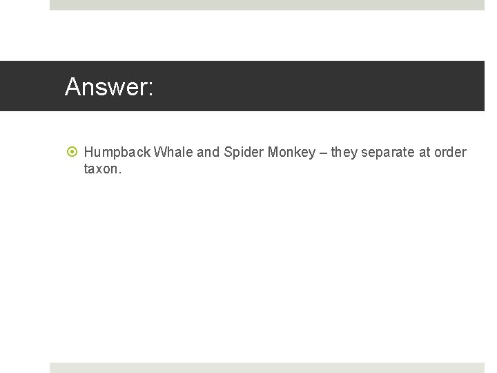 Answer: Humpback Whale and Spider Monkey – they separate at order taxon. 