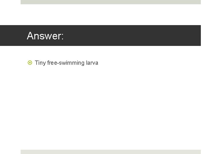 Answer: Tiny free-swimming larva 