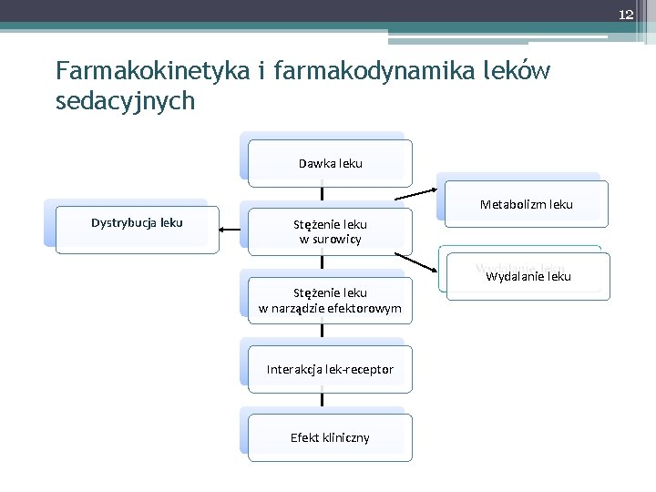 12 Farmakokinetyka i farmakodynamika leków sedacyjnych Dawka leku Metabolizm leku Dystrybucja leku Stężenie leku