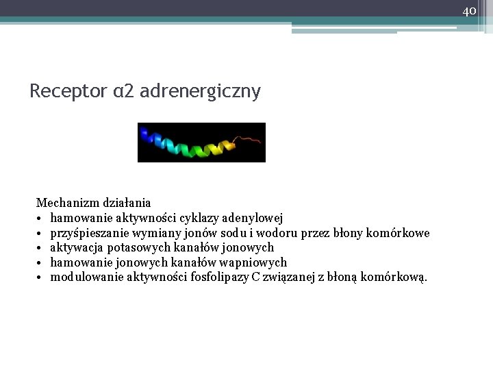 40 Receptor α 2 adrenergiczny Mechanizm działania • hamowanie aktywności cyklazy adenylowej • przyśpieszanie