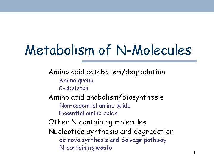 Metabolism of N-Molecules Amino acid catabolism/degradation Amino group C-skeleton Amino acid anabolism/biosynthesis Non-essential amino