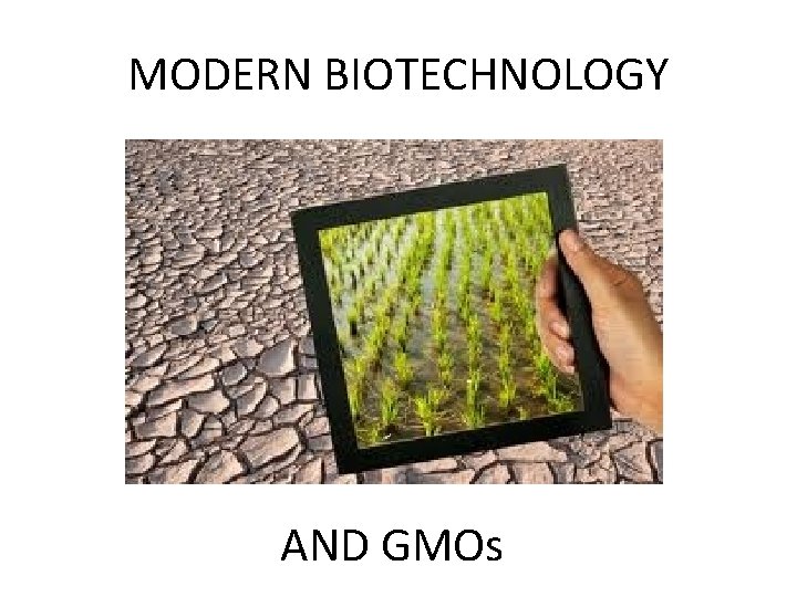 MODERN BIOTECHNOLOGY AND GMOs 