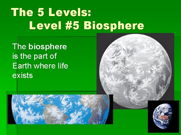 The 5 Levels: Level #5 Biosphere The biosphere is the part of Earth where
