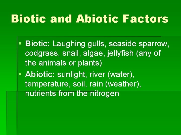 Biotic and Abiotic Factors § Biotic: Laughing gulls, seaside sparrow, codgrass, snail, algae, jellyfish