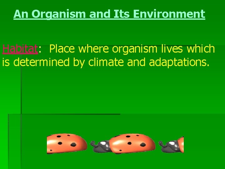 An Organism and Its Environment Habitat: Place where organism lives which is determined by