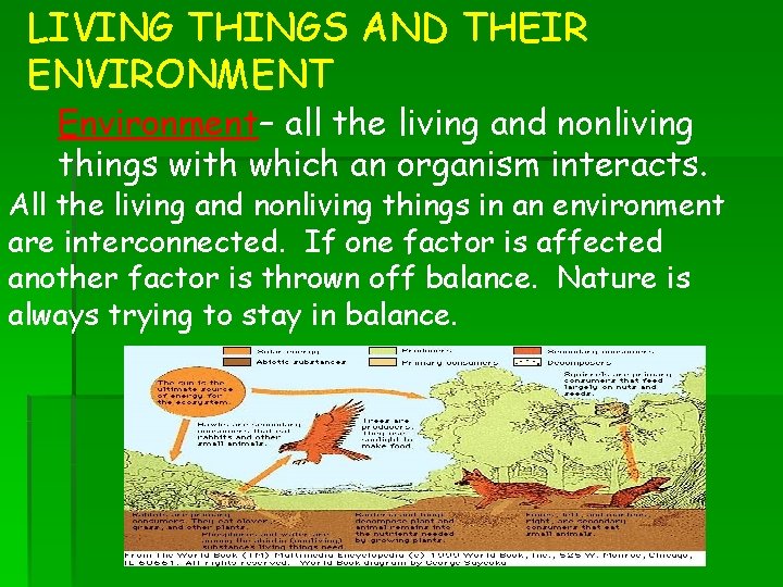 LIVING THINGS AND THEIR ENVIRONMENT Environment– all the living and nonliving things with which