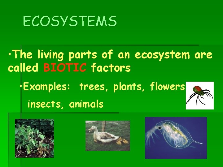ECOSYSTEMS • The living parts of an ecosystem are called BIOTIC factors • Examples: