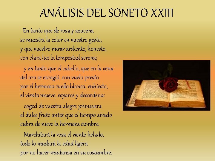 ANÁLISIS DEL SONETO XXIII En tanto que de rosa y azucena se muestra la ANÁLISIS DEL SONETO XXIII En tanto que de rosa y azucena se muestra la
