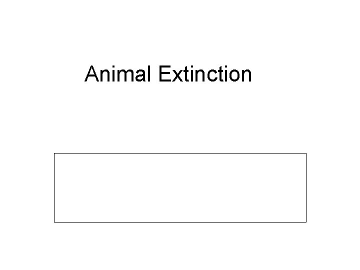 Animal Extinction 