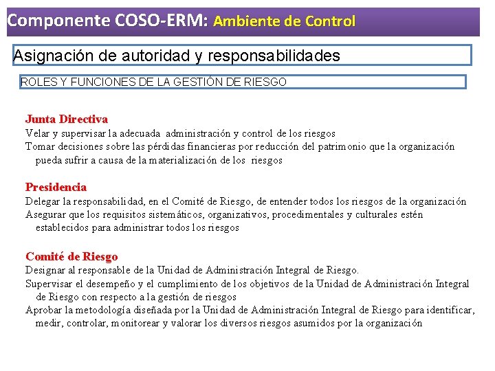 Componente COSO-ERM: Ambiente de Control Asignación de autoridad y responsabilidades ROLES Y FUNCIONES DE Componente COSO-ERM: Ambiente de Control Asignación de autoridad y responsabilidades ROLES Y FUNCIONES DE