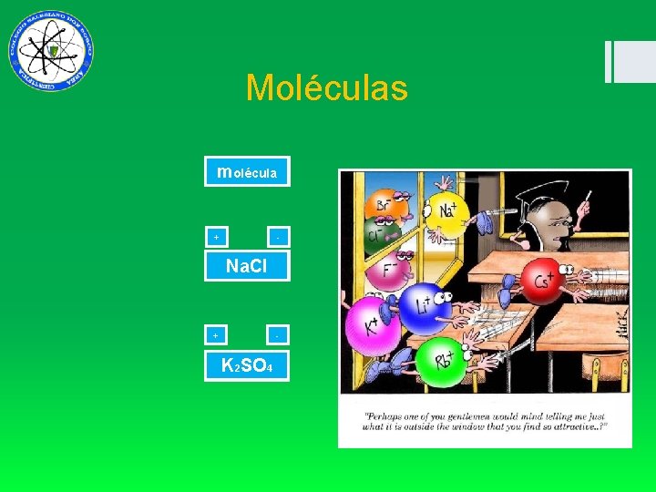  Moléculas m + olécula - + - Na Na. Cl + - KK