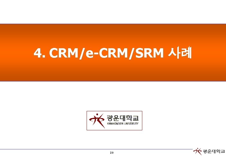 4. CRM/e-CRM/SRM 사례 28 