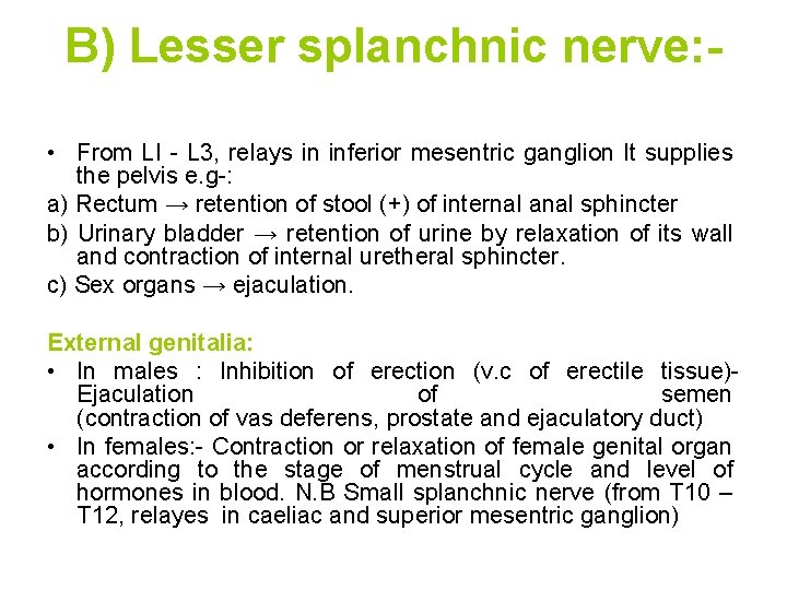 B) Lesser splanchnic nerve: • From LI - L 3, relays in inferior mesentric