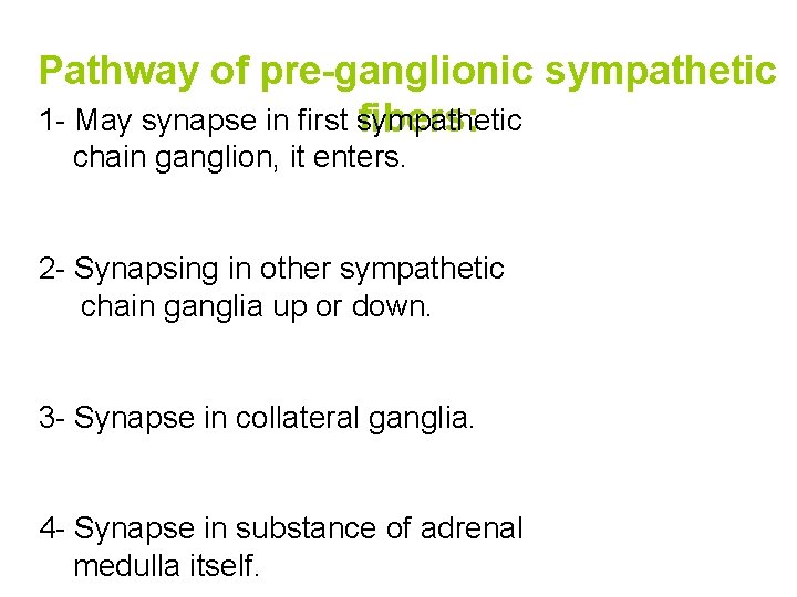 Pathway of pre-ganglionic sympathetic 1 - May synapse in first sympathetic fibers: chain ganglion,
