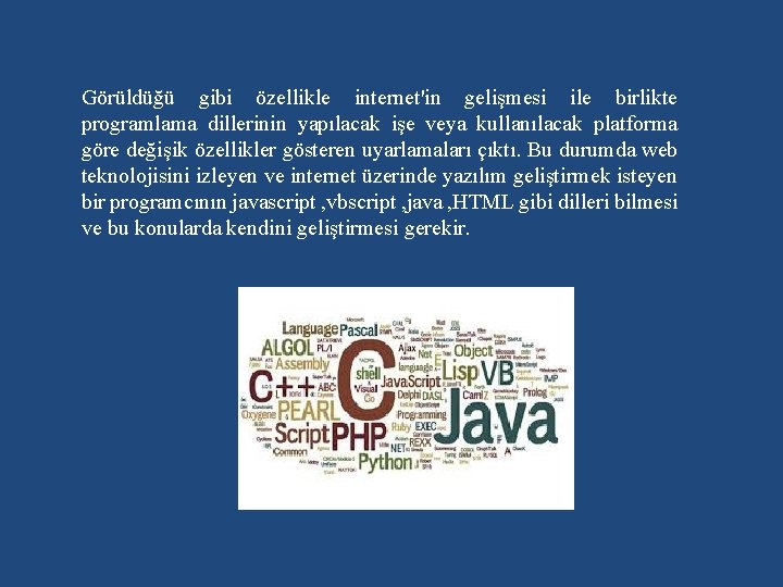 Görüldüğü gibi özellikle internet'in gelişmesi ile birlikte programlama dillerinin yapılacak işe veya kullanılacak platforma