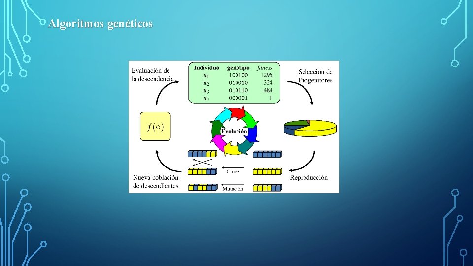 Algoritmos genéticos 