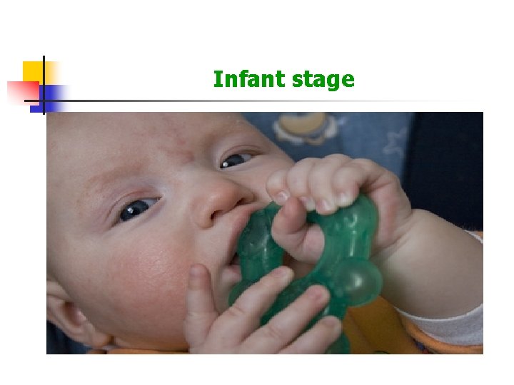 Infant stage 