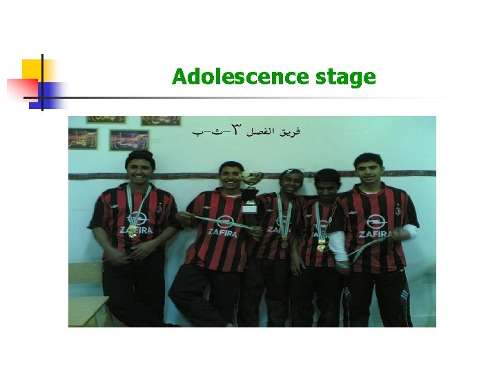 Adolescence stage 