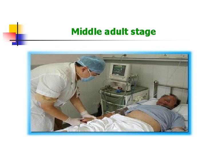 Middle adult stage 
